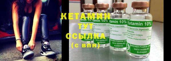 ешки Аркадак
