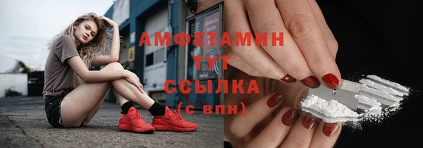 ешки Аркадак