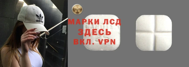 ешки Аркадак