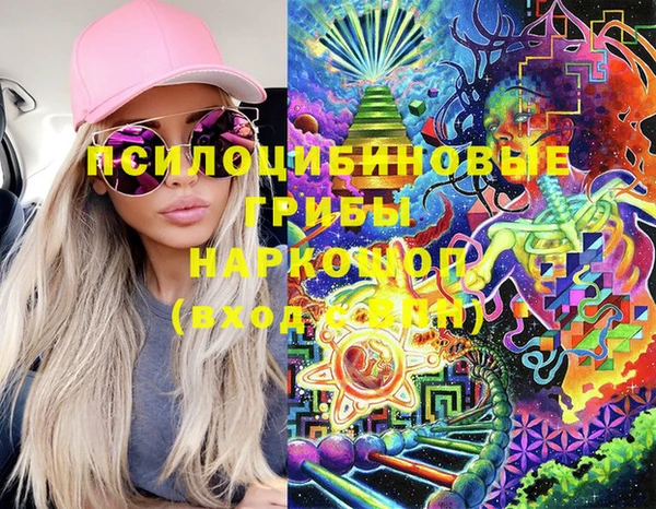 ешки Аркадак