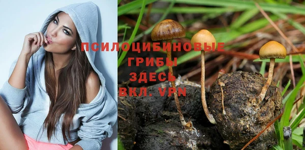 экстази Арсеньев