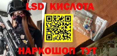 трава Сланцы