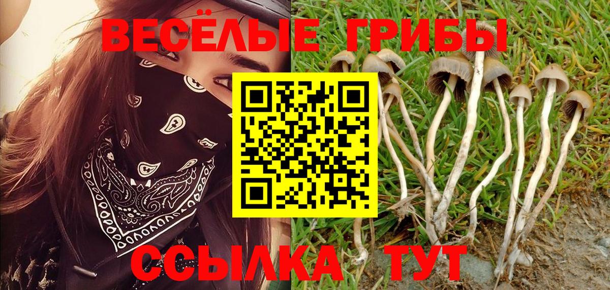 Псилоцибиновые грибы Psilocybine cubensis  Галлюциногенные грибы Psilocybe  Вход с VPN  Нарткала 
